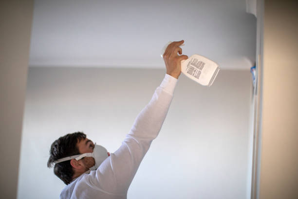 Best Mold Removal Company Near Me  in Erie, KS