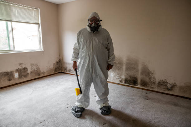 Best Mold Remediation  in Erie, KS