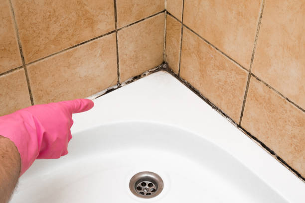 Best Mold Testing  in Erie, KS